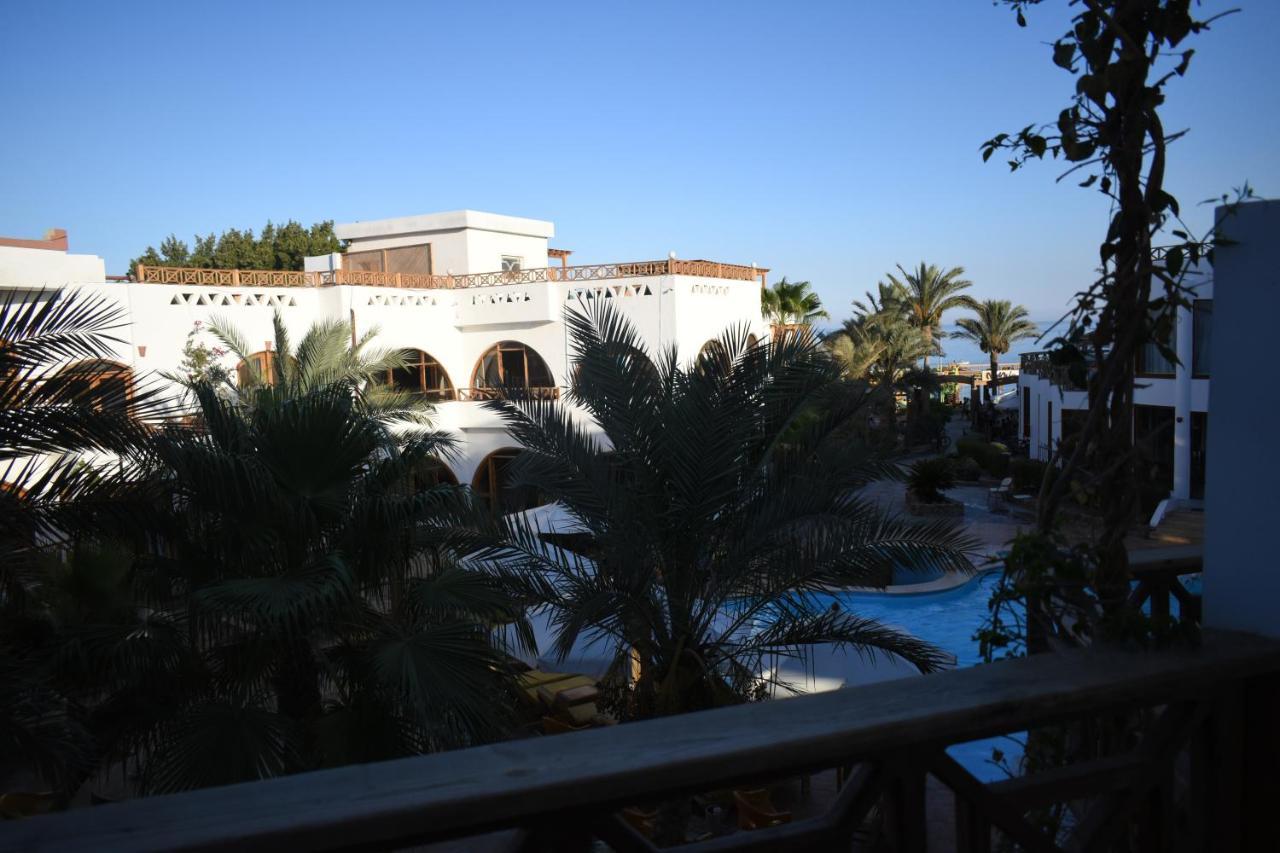 Planet Oasis Resort Dahab Exterior photo