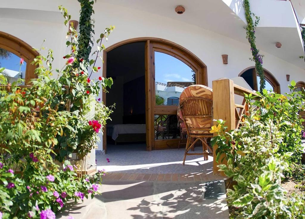Planet Oasis Resort Dahab Room photo
